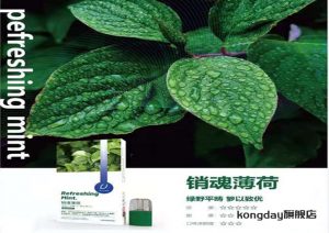 绿箩烟弹销魂薄荷口味测评(绿萝lvluo烟弹强烈推荐好抽的口味)-电子烟品牌排行榜网